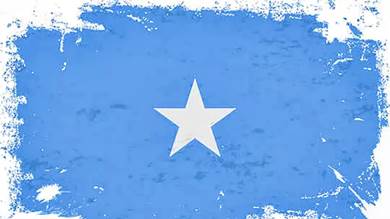 الصومال تحظر "تيك توك" و"تلغرام" للحد من "الدعاية الإرهابية"
